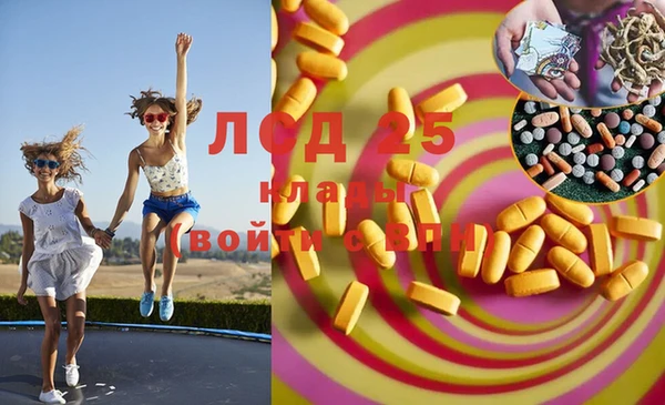 сатива Осташков